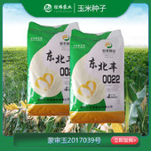 【倍丰种业】玉米种子0022 [45000粒]