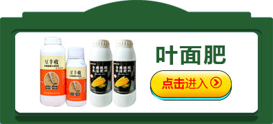 叶面肥