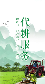 代耕服务