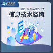 信息技术咨询服务